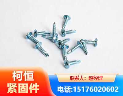 天水华司钻尾丝