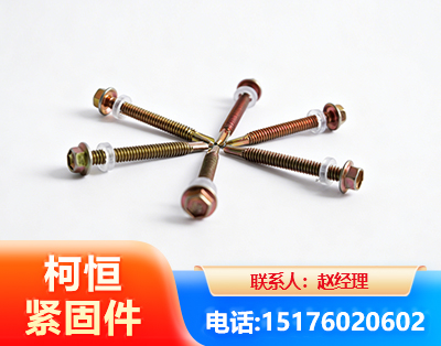 天水六角钻尾丝