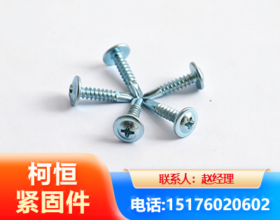 天水华司钻尾丝