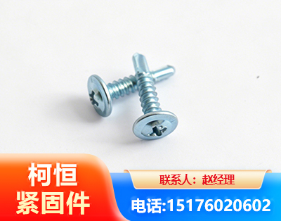 天水华司钻尾丝