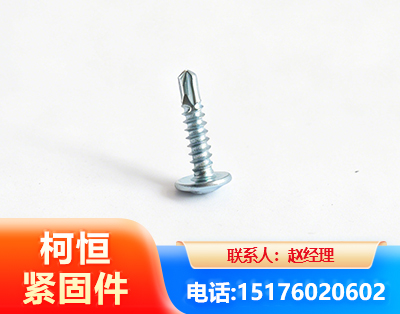 天水华司钻尾丝